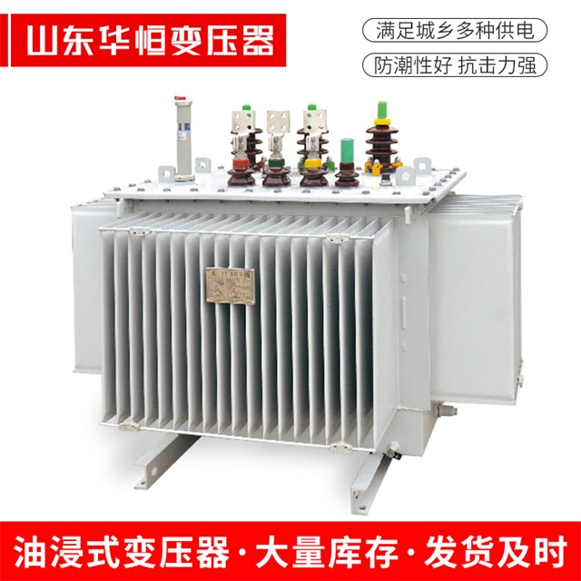 S13-10000/35港闸港闸港闸电力变压器